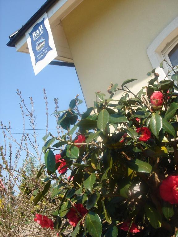 B&B Kamelia Komorniki  Extérieur photo