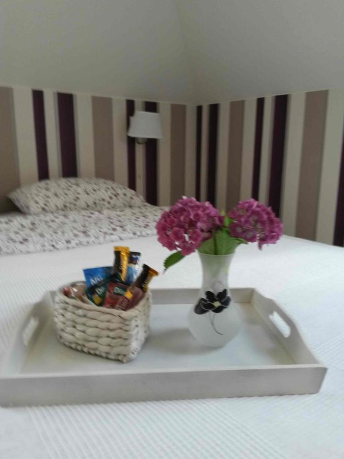 B&B Kamelia Komorniki  Extérieur photo